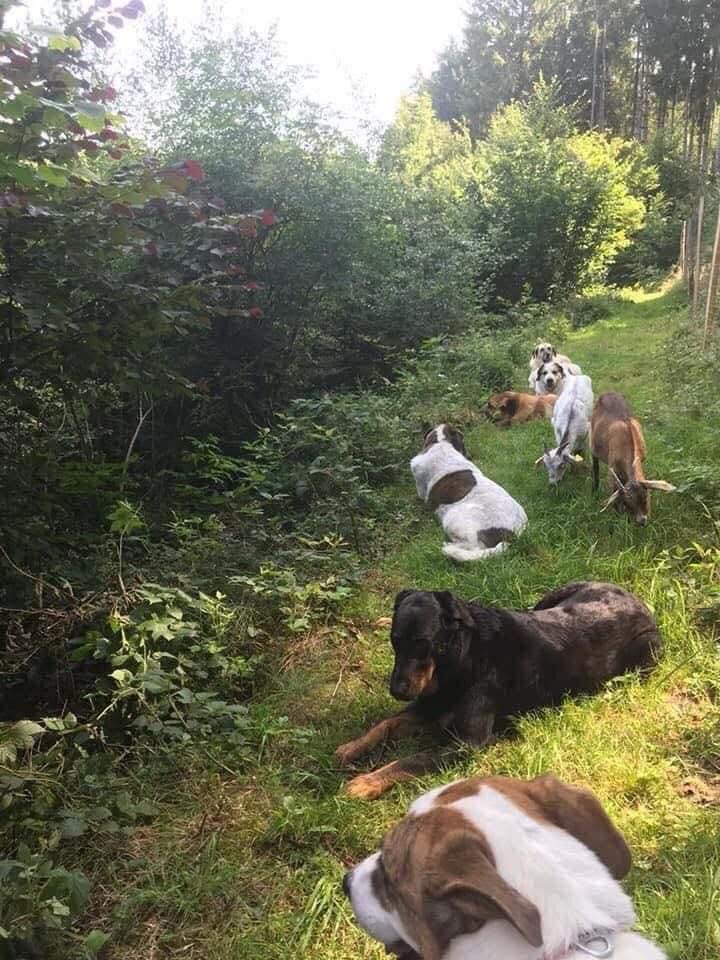 WhatsApp Image 2026-03-29 at 19.47.19