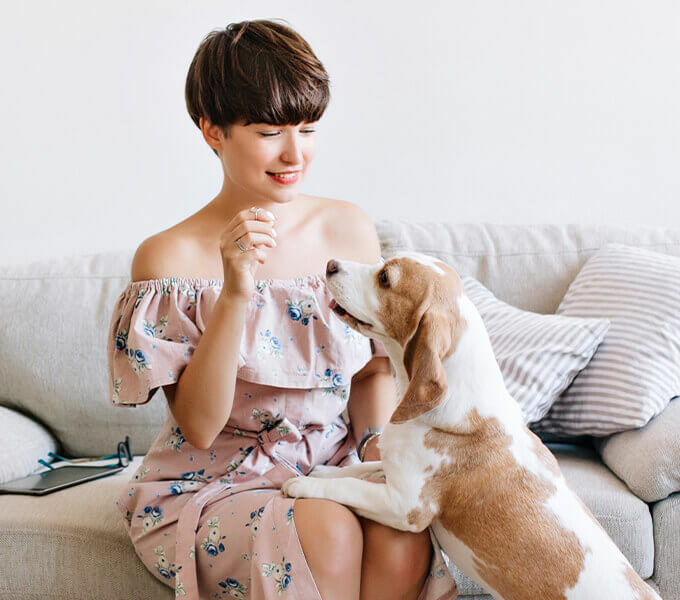 img-infoBox img-infoBox