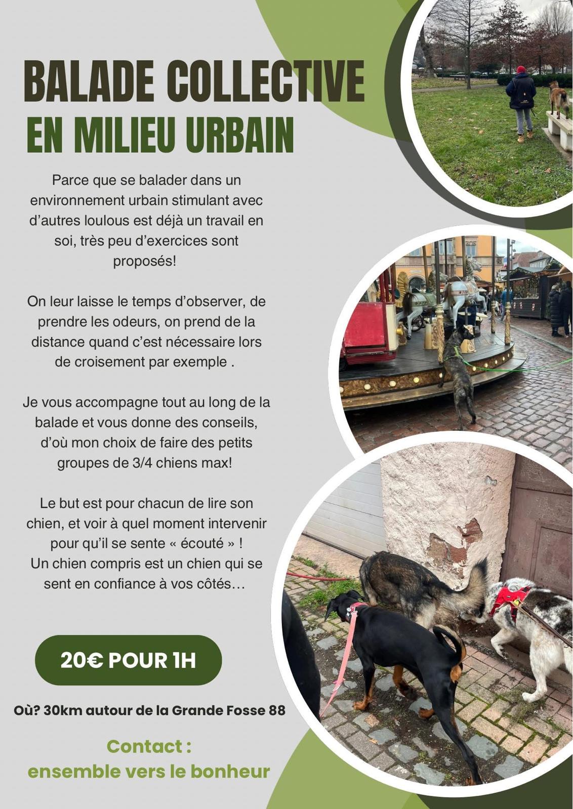 accompagnement collectif