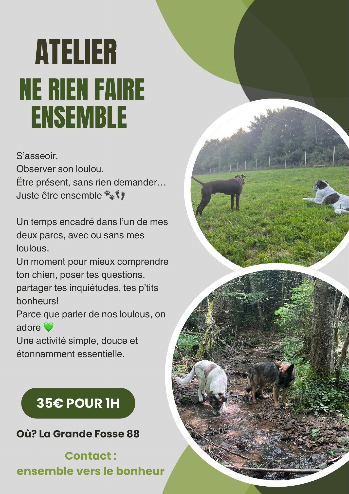 accompagnement individuel