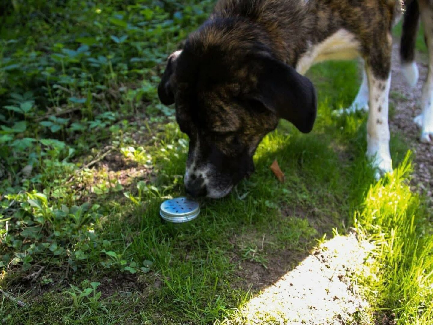 WhatsApp Image 2026-03-29 at 19.16.27