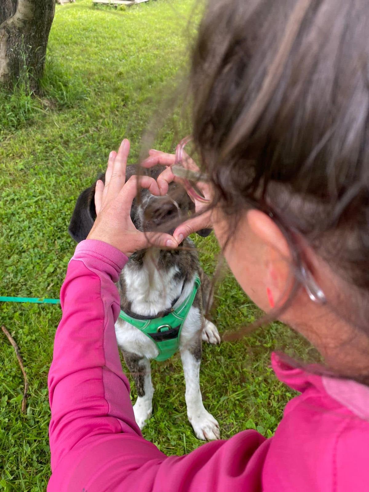 accompagnement dans la relation