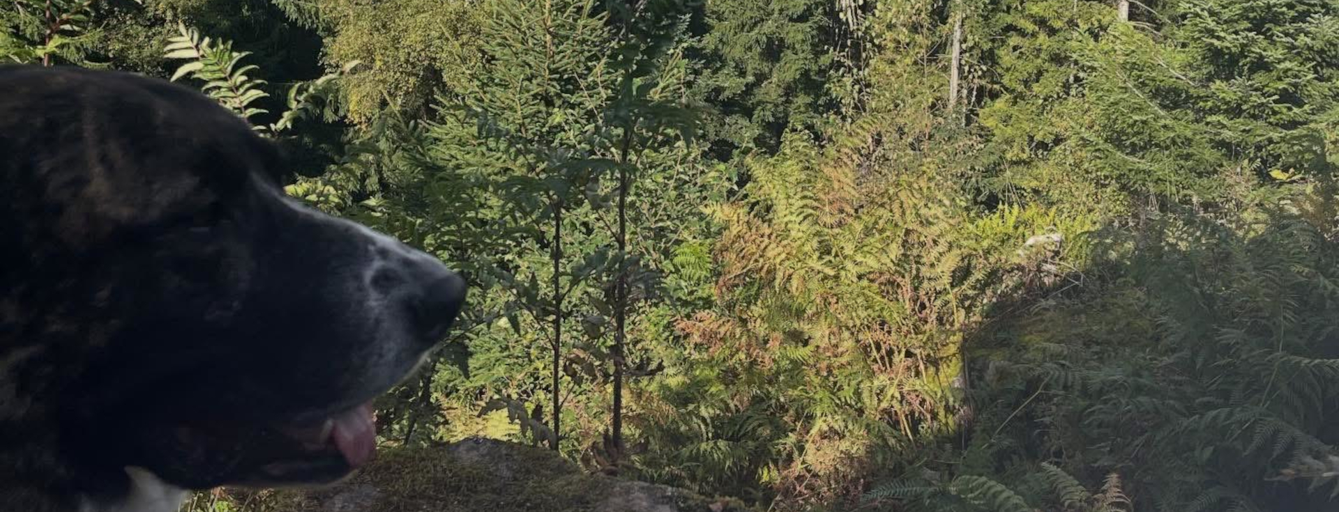 ensemble vers le bonheur slide