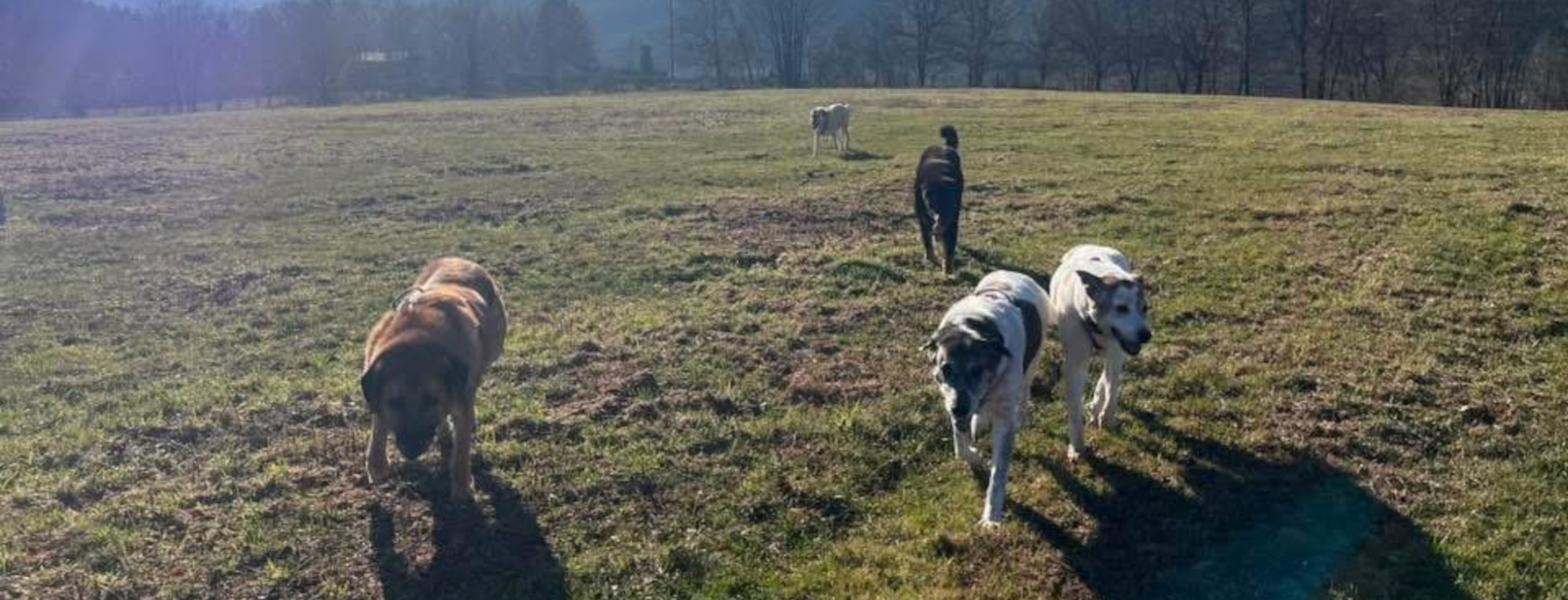 ensemble vers le bonheur slide