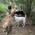 Julia Boudisseau photo